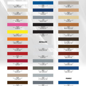 2006-2010 Dodge Charger Chargin' 2 Graphic Kit