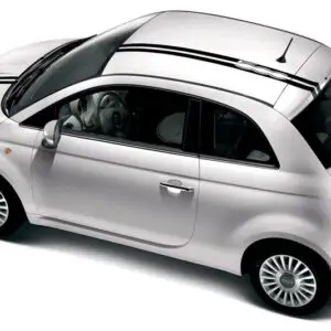 2011-2017 Fiat 500 Euro Rally Kit