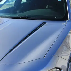 2015-2019 Dodge Charger Rive Graphic Kit