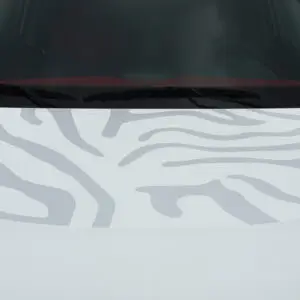 2008-2016 Kia Soul Cat Graphic Kit