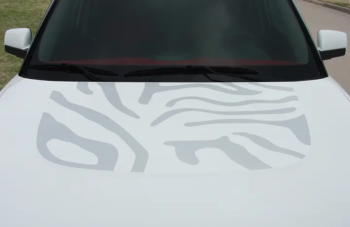 2008-2016 Kia Soul Cat Graphic Kit