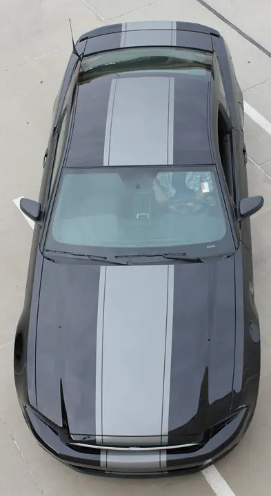 2013-2014 Ford Mustang Venom Graphic Kit