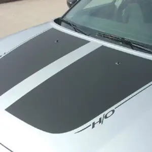 2006-2010 Dodge Charger Chargin' Graphic Kit