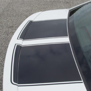 2008-2015 Chevrolet Cruze Cruzin' Rally Racing Stripe Kit