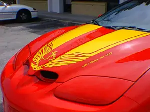 Pontiac Firebird Rally Bird Graphic Kit