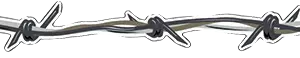 1" Wicked Wire Barbed Wire Stripe