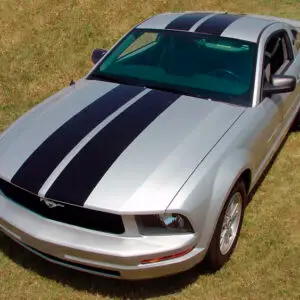 2005-2009 Ford Mustang Wildstang Racing Stripes Graphic Kit